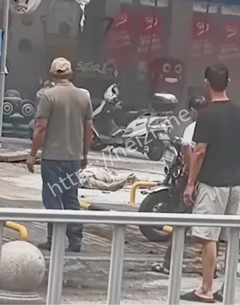 半岛阳光小区