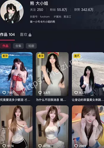 熊大小姐