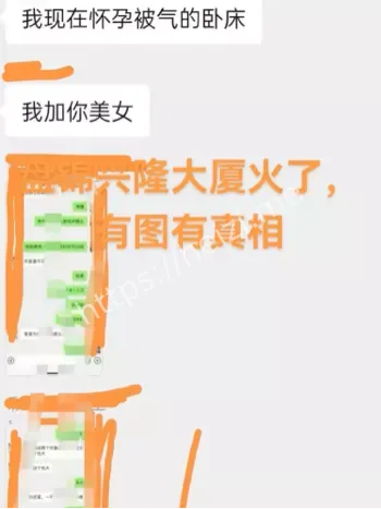 黄金熊