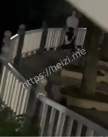 网络热议