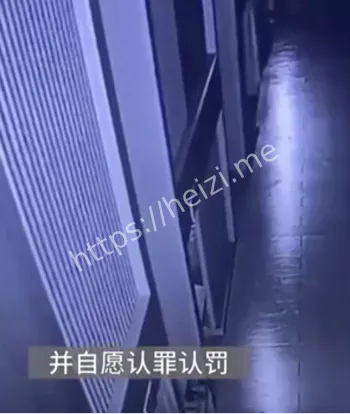 获赔