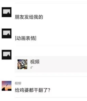 打野鸡