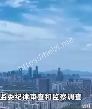 工业园书记