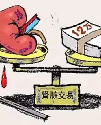 君康医院