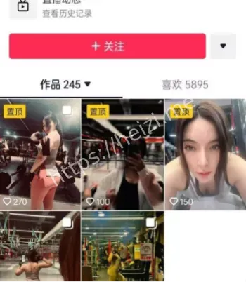 海洋之心