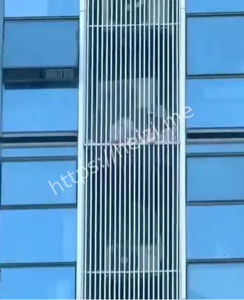 现金狂扔