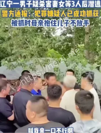 辽宁海城