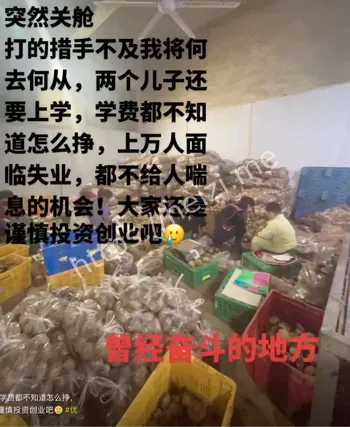 社区团购