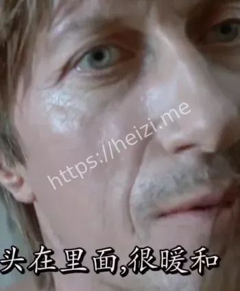 绝世颜值