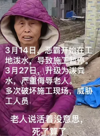 恶霸邻居