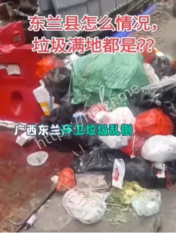 东兰国投