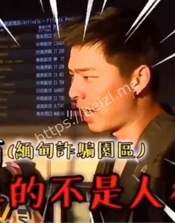 团伙