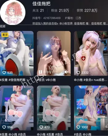 佳佳拖把