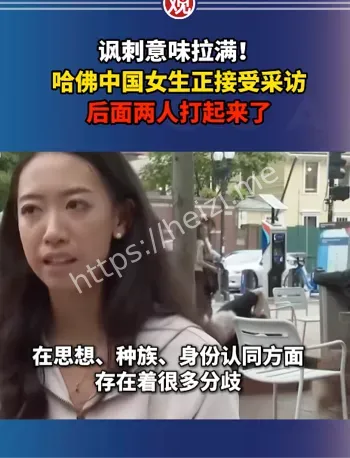 跪舔白左