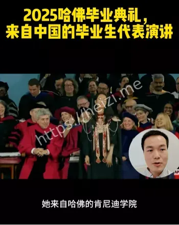 跪舔白左