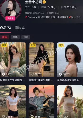 叁叁小初啊