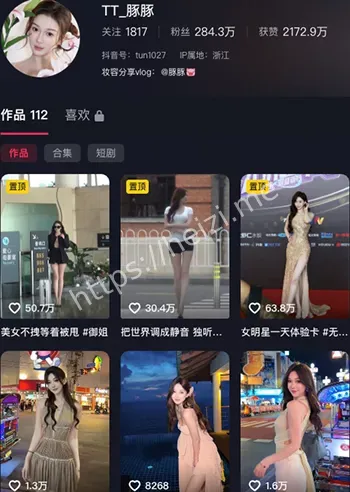TT豚豚