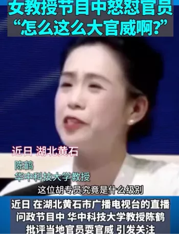敷衍了事