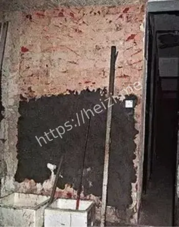 樊敏仪