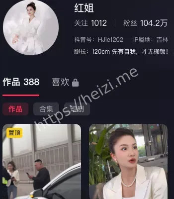 网红丑闻