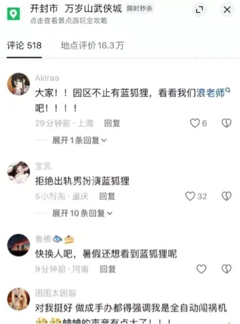 蓝狐狸