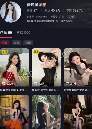 麦辣堡堡