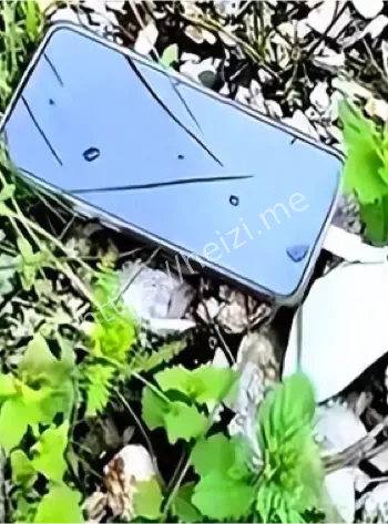 遗体发现
