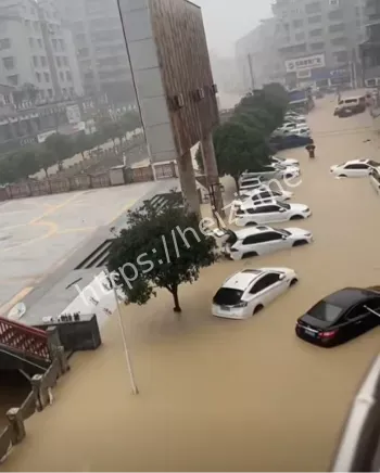 网络热议