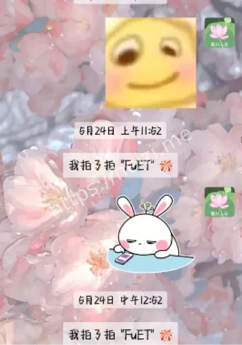 东大材料博士