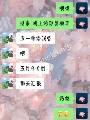 校园恋情