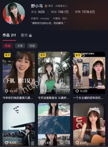知名网红