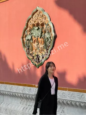 网红争议
