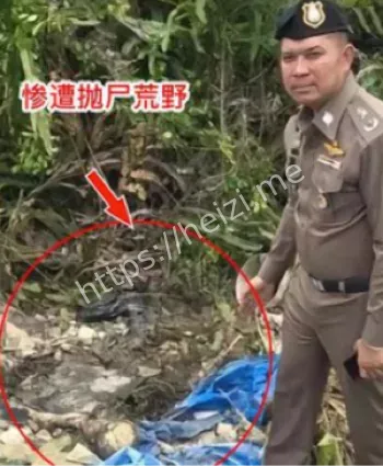 抛尸
