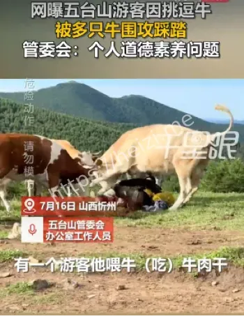 游客