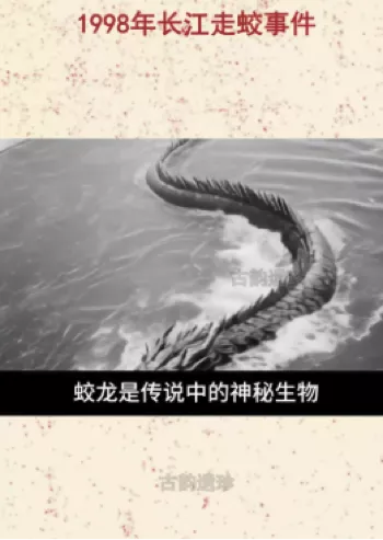 视频曝光