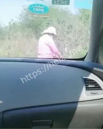 网恋