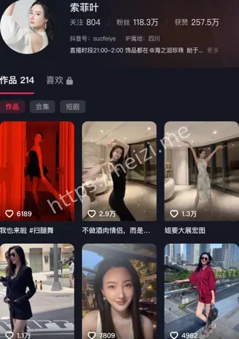索菲叶