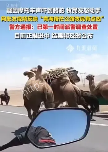 现场视频
