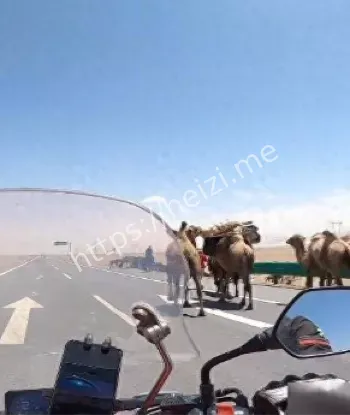 文旅危机