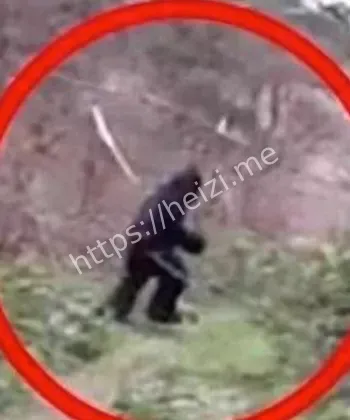 野人足迹