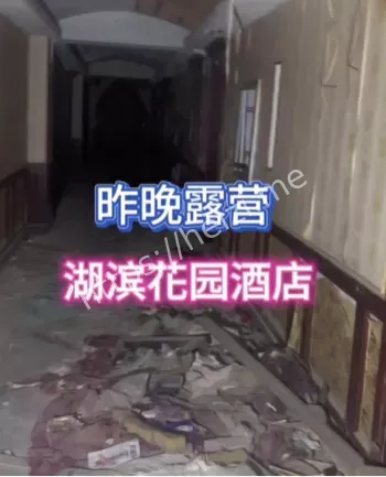 照妖镜