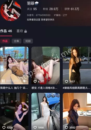 羽菲