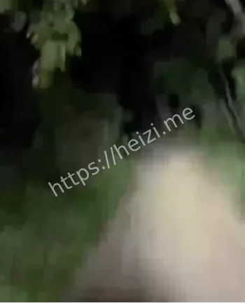 诡异哭叫声