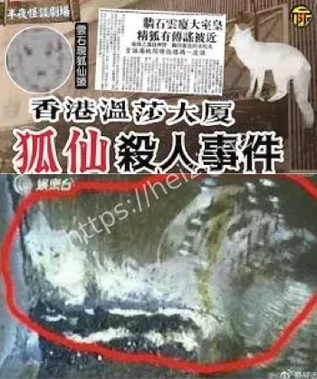 1981年