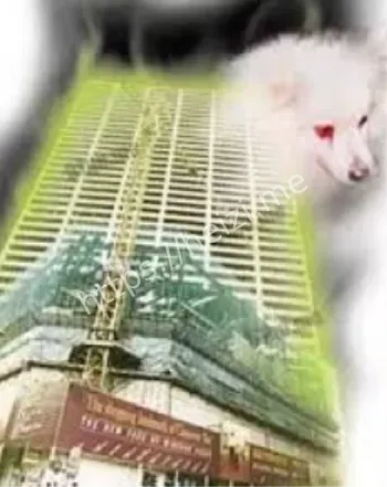 温莎大厦