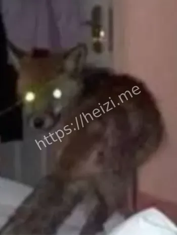 狐仙