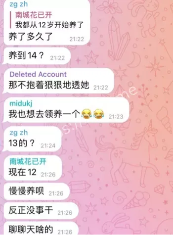 电报加密群组