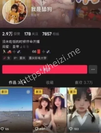 猫猫忠仆