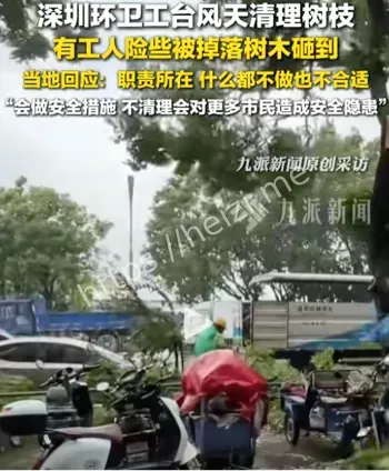 大树砸中