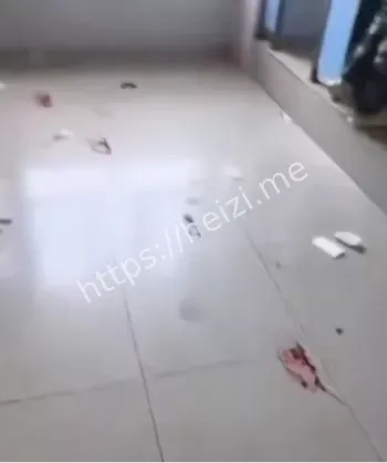 校园管理